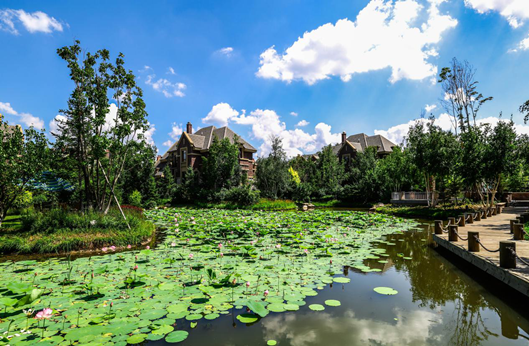 首页-尊龙网站_(中国)唯一官方网站